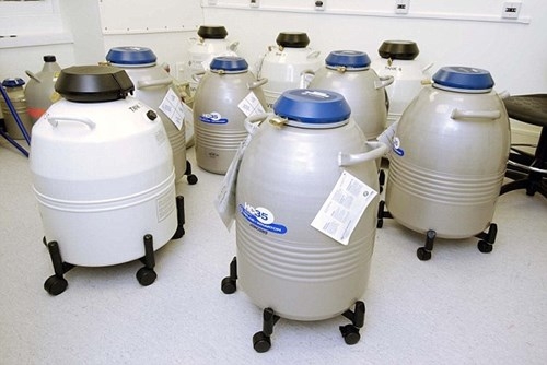 Phương ph&aacute;p đ&ocirc;ng lạnh trứng sẽ mở ra hy vọng mới cho c&aacute;c cặp vợ chồng v&ocirc; sinh.&nbsp;