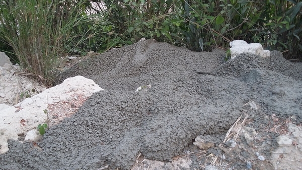 B&ecirc; t&ocirc;ng được đổ trạt ra ven đường nhưng Chủ đầu tư kh&ocirc;ng hề biết.