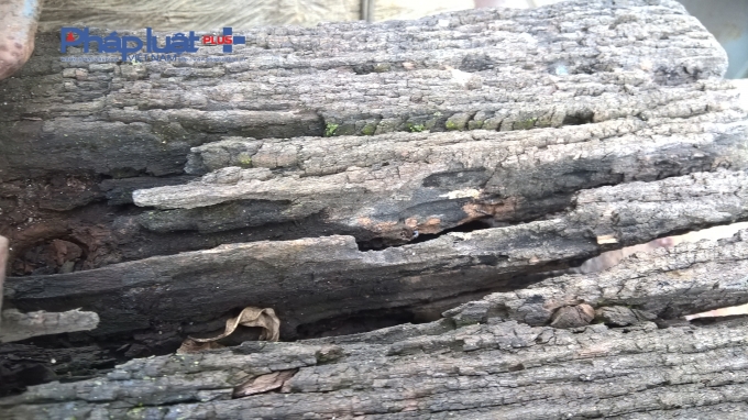 Chi gần 300 tỷ đồng tu sửa, thực trạng cầu Long Bi&ecirc;n ra sao?