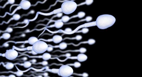 Sự thật bất ngờ về đội tinh binh