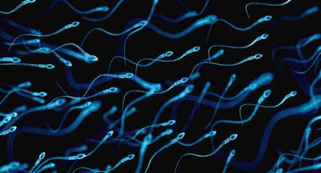 Sự thật bất ngờ về đội tinh binh