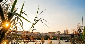 Dự báo thời tiết ngày 8/7: Bắc Bộ chuyển nắng nhẹ