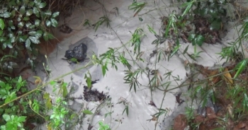 Bắc Giang: Sông Cẩm Đàn "kêu cứu" vì Tập đoàn Á Cường ngang nhiên xả thải