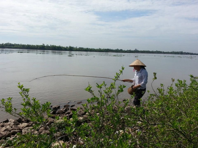 Nghề c&acirc;u c&aacute;y l&agrave; một nghề truyền thống bao đời nay của người d&acirc;n miền biển Kim Sơn