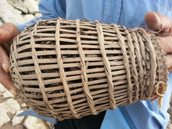 Chiếc &nbsp;giỏ đ&atilde; đầy&nbsp;ắp c&aacute;y.