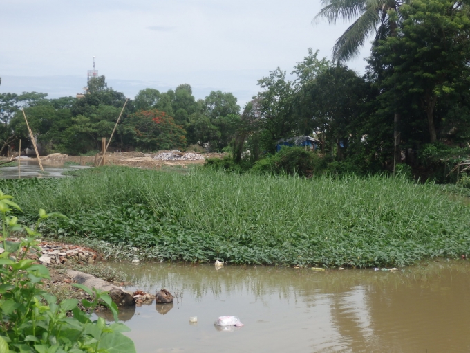 Cỏ mọc um t&ugrave;m, đất bồi lấp ở g&oacute;i thầu 21, đoạn s&ocirc;ng Thọ Hạc, phường Trường Thi.