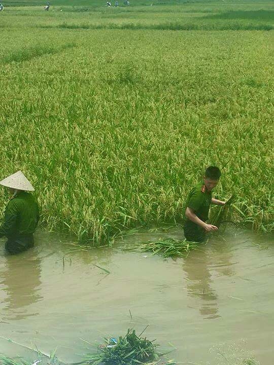 (Nguồn: Facebook).