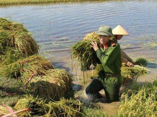 Lội nước cứu l&uacute;a gi&uacute;p người n&ocirc;ng d&acirc;n.(Nguồn: Facebook).