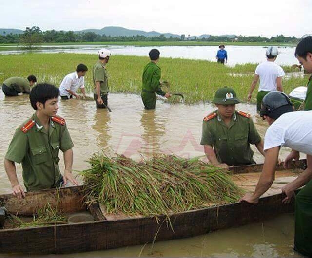 (Nguồn: Facebook).