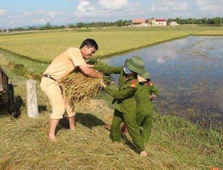 (Nguồn: Facebook).