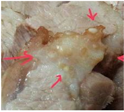 Những loại thực phẩm d&ugrave; tr&oacute;t mua về cũng tuyệt đối 'cấm' sử dụng