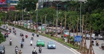 Bản tin Giao thông Plus ngày 13/07/2016: Hà Nội trồng phượng ở dải phân cách có hợp lý?