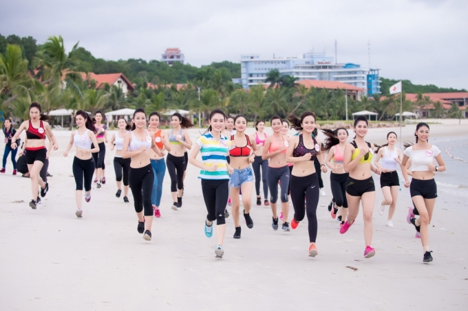 Th&iacute; sinh HHVN th&iacute;ch th&uacute; khi được sư tử biển h&ocirc;n m&aacute;