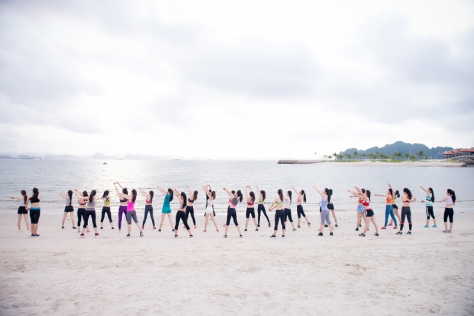 Th&iacute; sinh HHVN th&iacute;ch th&uacute; khi được sư tử biển h&ocirc;n m&aacute;