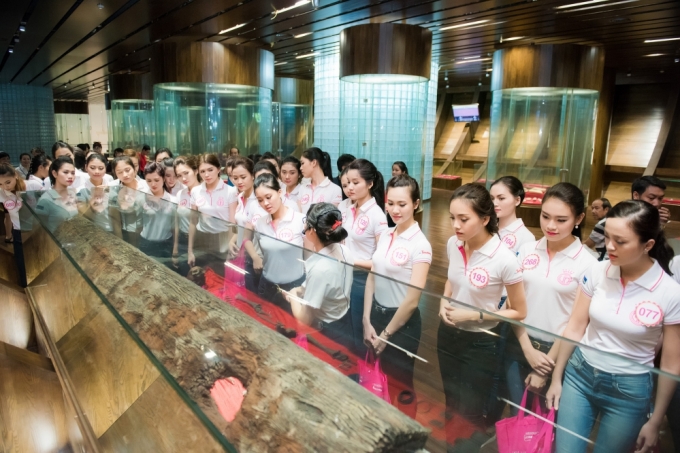 Th&iacute; sinh HHVN th&iacute;ch th&uacute; khi được sư tử biển h&ocirc;n m&aacute;