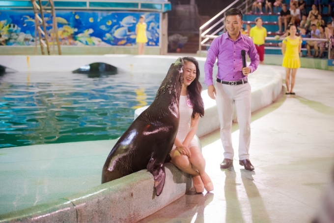 Th&iacute; sinh HHVN th&iacute;ch th&uacute; khi được sư tử biển h&ocirc;n m&aacute;