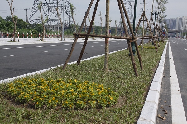 Dải ph&acirc;n c&aacute;ch giữa rộng 3m được tr&ocirc;ng hoa, c&acirc;y xanh được trồng đồng bộ, c&oacute; chiều cao khoảng 5 m.
