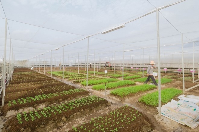 Địa điểm tham quan th&uacute; vị cuối tuần cho c&aacute;c gia đ&igrave;nh.