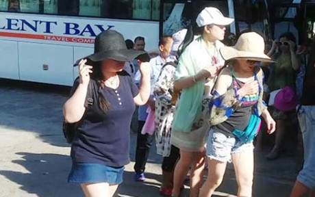C&ocirc;ng ty Silent Bay đưa kh&aacute;ch Trung Quốc đến c&aacute;c điểm du lịch tại TP Nha Trang. Ảnh: Kỳ Nam/Người Lao động.