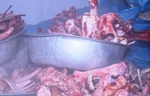 Bắt 1,4 tấn da, xương trâu bò mất vệ sinh thực phẩm
