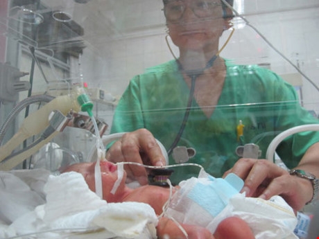 H&igrave;nh ảnh b&eacute; Gấu được nu&ocirc;i trong lồng k&iacute;nh sau khi sinh. (Ảnh: Ph&aacute;p luật TP HCM)