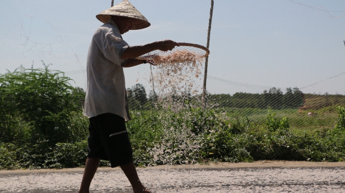 Cần c&oacute; một đơn vị đứng ra gi&uacute;p ngư d&acirc;n n&acirc;ng cao gi&aacute; trị