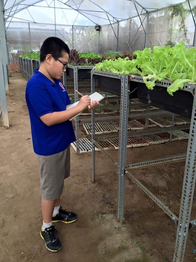C&aacute;c lớp học cho trẻ trồng c&acirc;y, l&agrave;m n&ocirc;ng nghiệp thường xuy&ecirc;n tổ chức tại vườn rau n&agrave;y. Ảnh: NVCC.