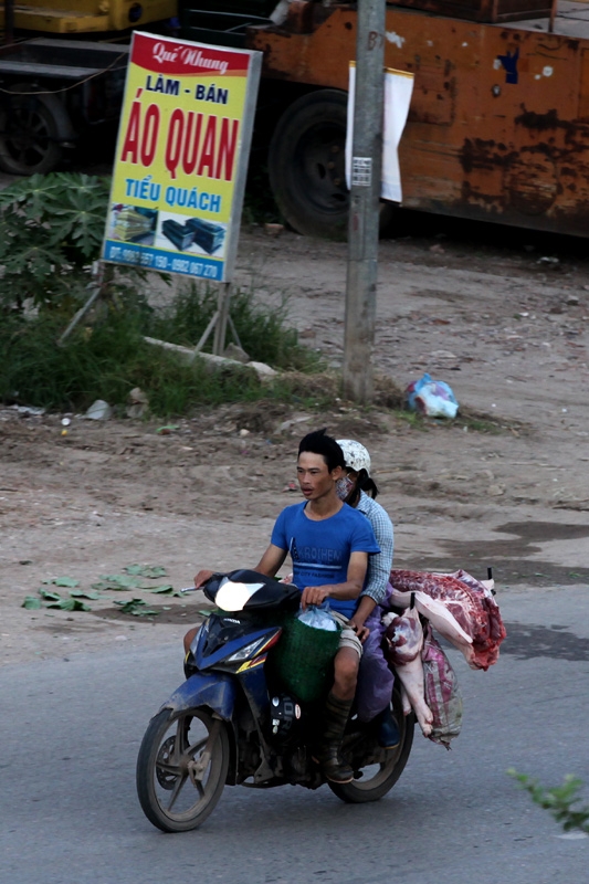 Theo quy định, việc vận chuyển thịt lợn phải được đ&oacute;ng g&oacute;i bằng th&ugrave;ng t&ocirc;n, thậm ch&iacute; c&ograve;n phải ướp lạnh hoặc bảo quản, vận chuyển bằng xe tải đ&ocirc;ng lạnh.