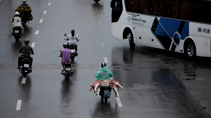 Thịt lợn được chuy&ecirc;n chở tr&ecirc;n QL1, đoạn qua đường Ngọc Hồi, hầu hết kh&ocirc;ng được bảo quản, bao g&oacute;i kể cả khi trời mưa trong khi người vận chuyển phải mặc &aacute;o mưa.