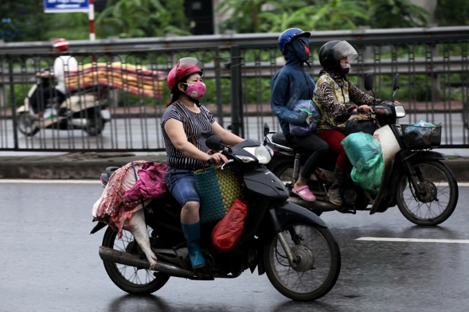 Heo 'l&otilde;a thể' từ khắp ngả nườm nượp v&agrave;o chợ Thủ đ&ocirc;