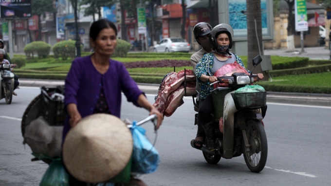 Heo 'l&otilde;a thể' từ khắp ngả nườm nượp v&agrave;o chợ Thủ đ&ocirc;