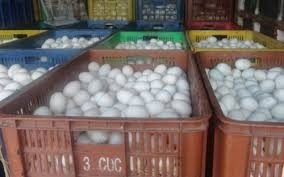 Tiêu hủy hơn 40.000 quả trứng gia cầm không rõ nguồn gốc