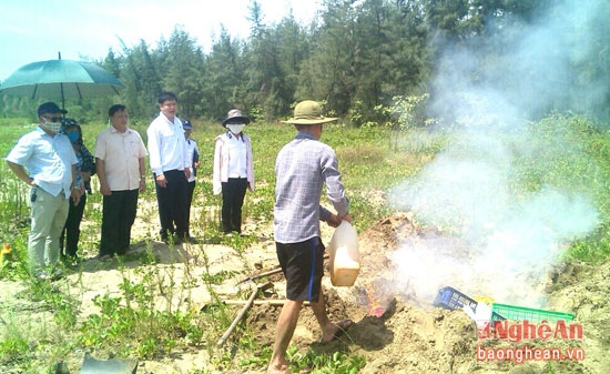 Lực lượng chức năng ti&ecirc;u hủy số trứng bị thu giữ.