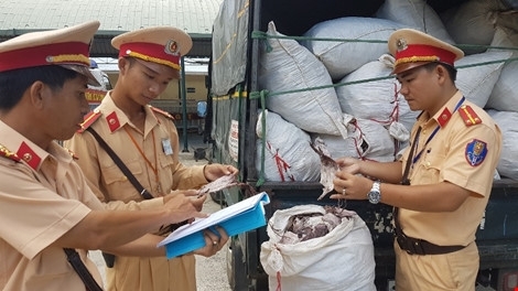 Bắt giữ xe tải chở hai tấn mực khô “hết đát”, bốc mùi hôi