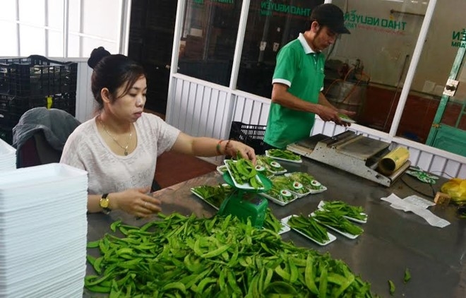 Hiện tại, rất &iacute;t sản phẩm n&ocirc;ng nghiệp của Đ&agrave; Lạt được được gắn nh&atilde;n m&aacute;c trước khi xuất b&aacute;n. Ảnh:&nbsp;Thạch Thảo