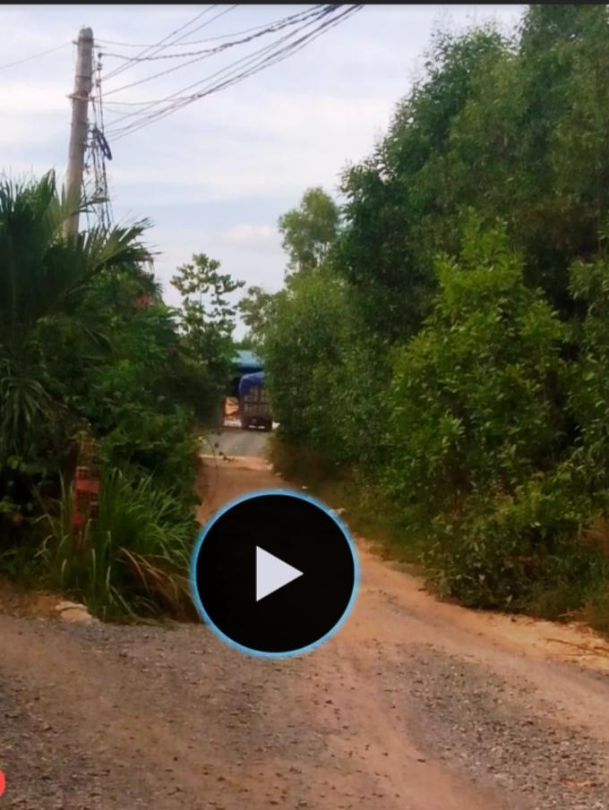 Chiếc xe chạy v&agrave;o một khu vực heo h&uacute;t ở phường Long B&igrave;nh.