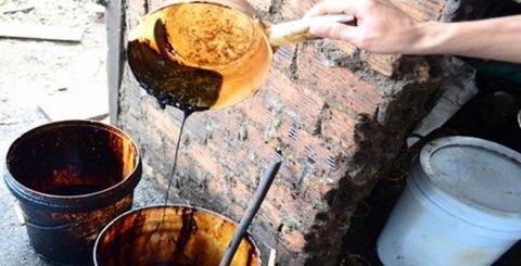 Run người: Tạo độ đắng cho cà phê bằng thuốc sốt rét