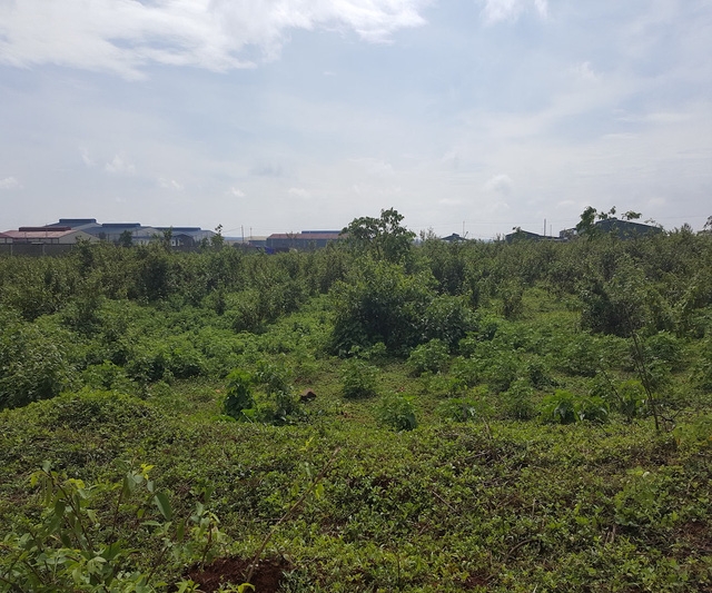 Cận cảnh dự &aacute;n BĐS biệt danh &ldquo;Dubai ở Đắk Lắk&rdquo; trong rừng s&acirc;u của Tập đo&agrave;n Trung Nguy&ecirc;n