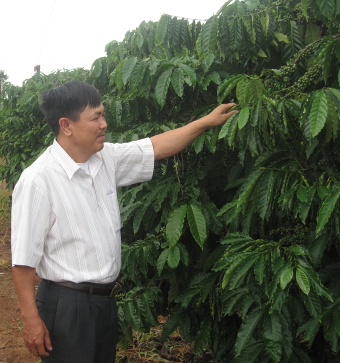 HTX c&agrave; ph&ecirc; của CCB Tạ Ngọc Quang&nbsp;