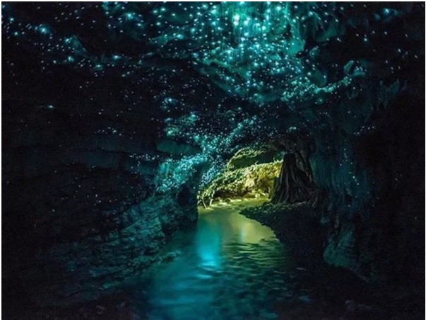 &nbsp;Hang Waitomo, New Zealand