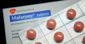 Thuốc chữa sốt rét có thể giúp hỗ trợ điều trị ung thư hiệu quả