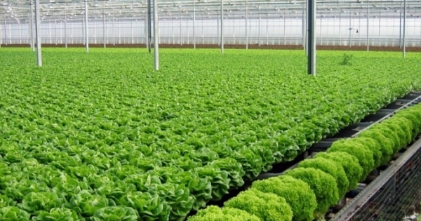 TP HCM thí điểm chợ an toàn thực phẩm