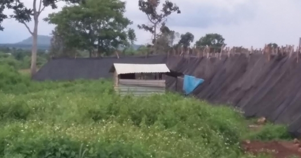 Tố bắt tại trận Chủ tịch xã "quan hệ" bất chính, trần truồng bỏ chạy