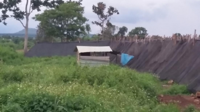 Căn ch&ograve;i nơi &ocirc;ng Siu Kam bị tố bị bắt quả tang