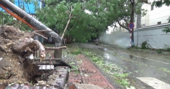 Ảnh hưởng Bão số 1, cây đổ ngổn ngang trên đường phố Hà Nội