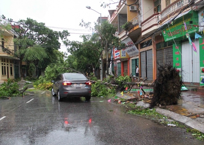 Th&aacute;i B&igrave;nh ảnh hưởng nặng nề sau cơn b&atilde;o số 1: &Iacute;t nhất 2 người bị thương nặng