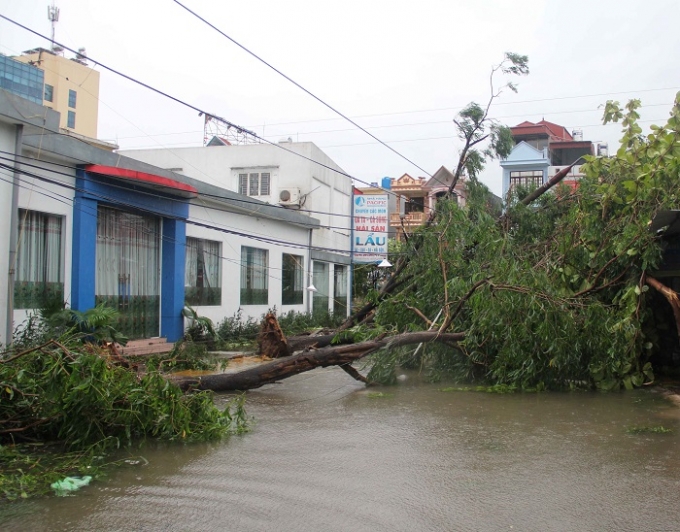 Th&aacute;i B&igrave;nh ảnh hưởng nặng nề sau cơn b&atilde;o số 1: &Iacute;t nhất 2 người bị thương nặng