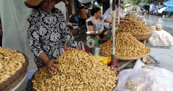 Cảnh giác đậu phộng Trung Quốc giá rẻ tràn vào Việt Nam?