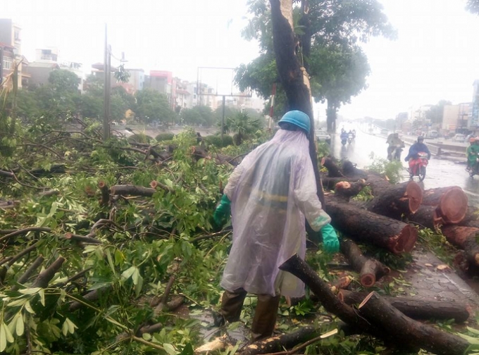 Lực lượng chức năng giải cứu c&aacute;c tuyến đường c&oacute; c&acirc;y đổ ngổn ngang.