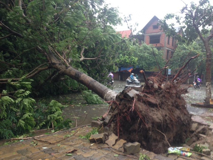 Th&ocirc;ng tin mới nhất về cơn b&atilde;o số 1: 1 người chết v&agrave; 4 người kh&aacute;c bị thương